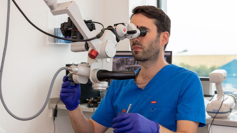 Cost Of Root Canal Treatment